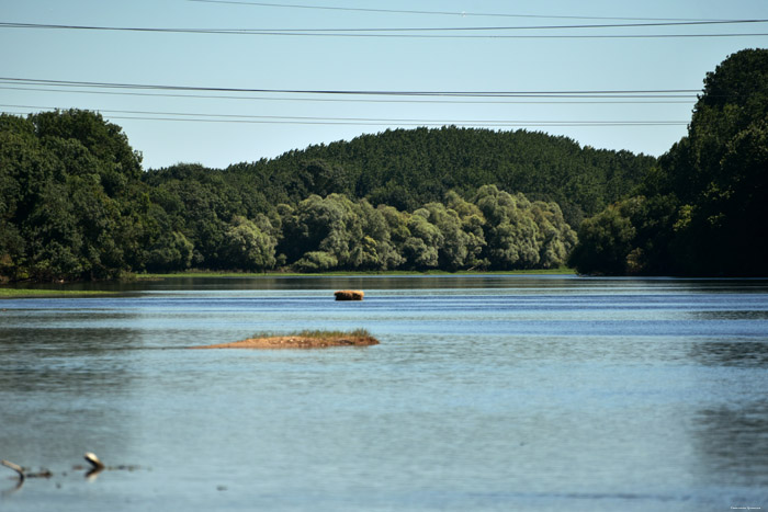 Vienne Rivier Candes-Saint-Martin / FRANKRIJK 