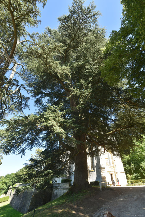 Kasteel van Ussee Uss in Rigny / FRANKRIJK 