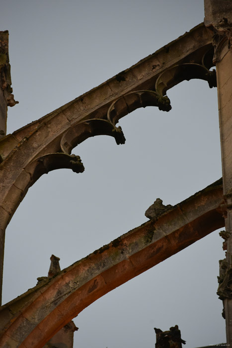 Onze-Lieve-Vrouwekathedraal Senlis / FRANKRIJK 