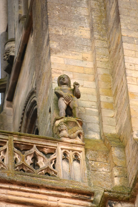 Cathédrale Notre Dame Senlis / FRANCE 