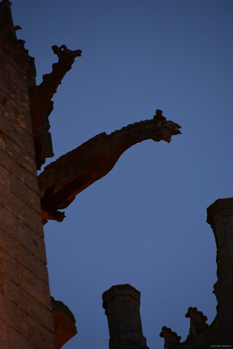 Onze-Lieve-Vrouwekathedraal Senlis / FRANKRIJK 