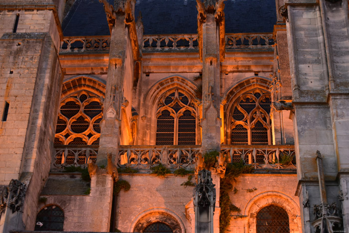 Our Ladies' Cathedral Senlis / FRANCE 