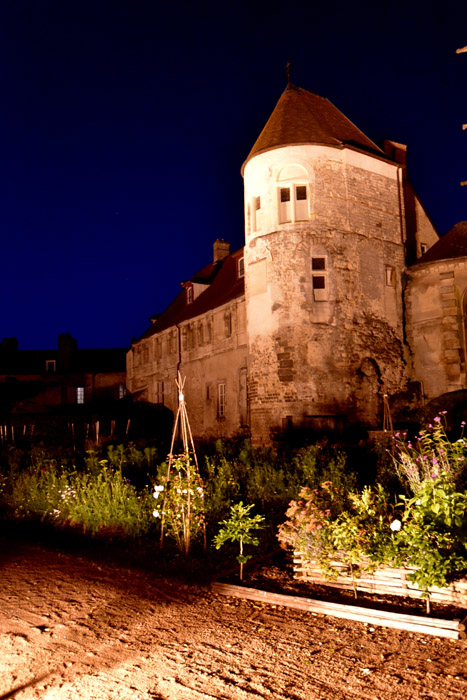 Museum Senlis / FRANCE 