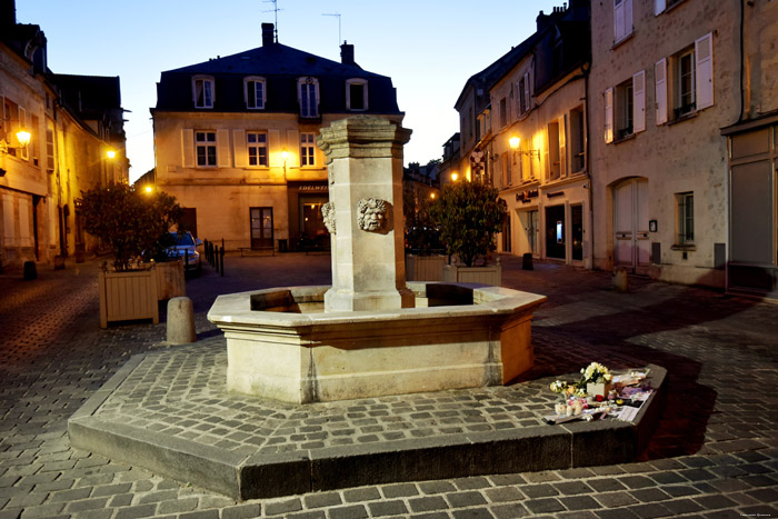 Fountain - The White Spring Senlis / FRANCE 