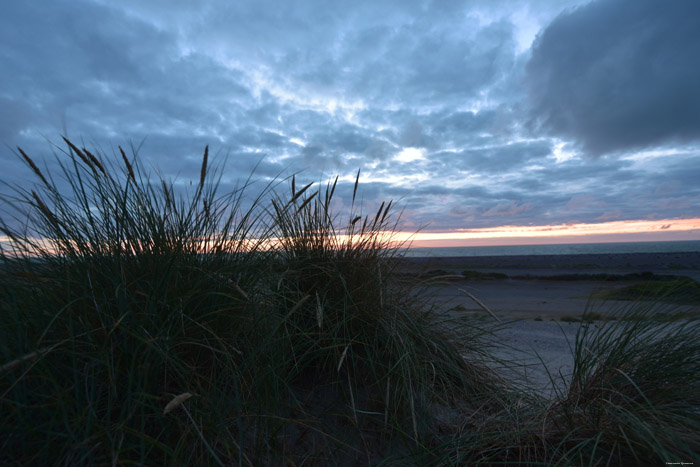 Zeezicht Cayeux-sur-Mer / FRANKRIJK 