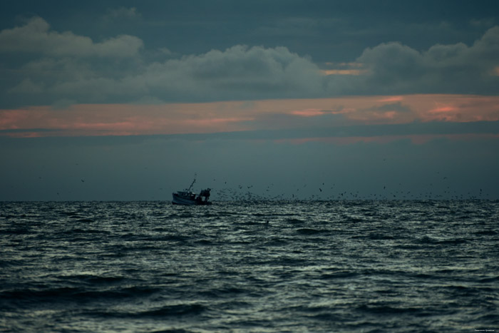 Zeezicht Cayeux-sur-Mer / FRANKRIJK 