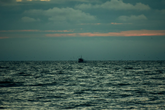 Zeezicht Cayeux-sur-Mer / FRANKRIJK 