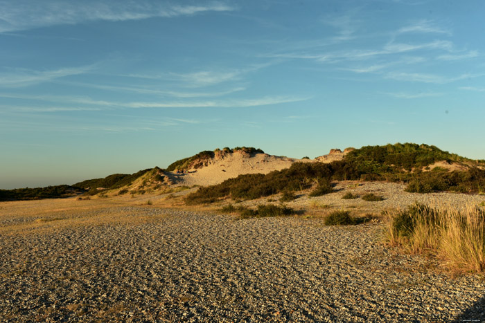 Zeezicht Cayeux-sur-Mer / FRANKRIJK 