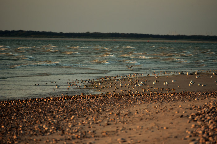 Zeezicht Cayeux-sur-Mer / FRANKRIJK 