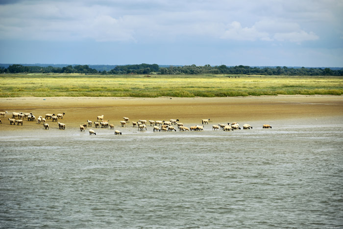 Zicht op Park Baai van de Somme Saint-Valry-sur-Somme / FRANKRIJK 