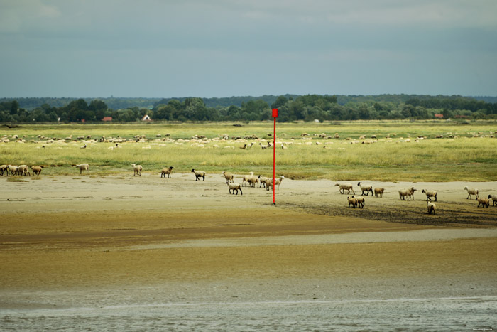 Zicht op Park Baai van de Somme Saint-Valry-sur-Somme / FRANKRIJK 