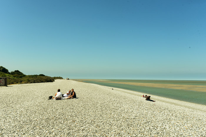 Strand, zee en Zeehonden Le Hourdel / FRANKRIJK 