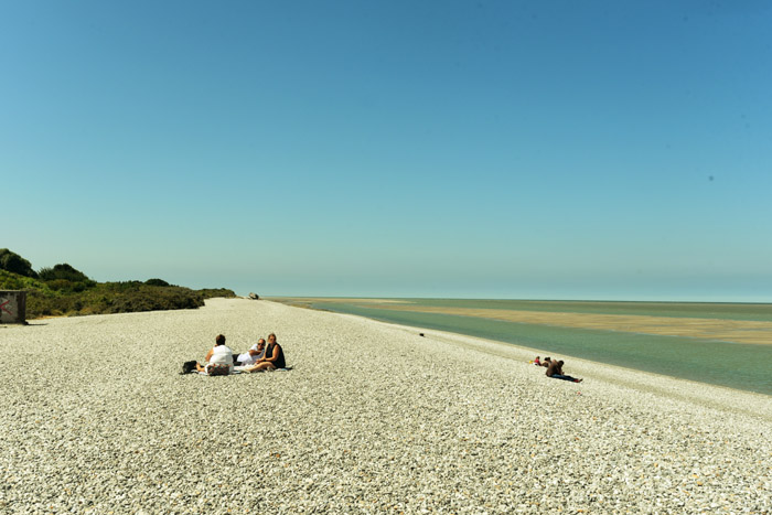 Plage, Mer et Phoques Le Hourdel / FRANCE 