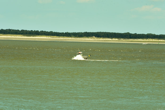 Strand, zee en Zeehonden Le Hourdel / FRANKRIJK 