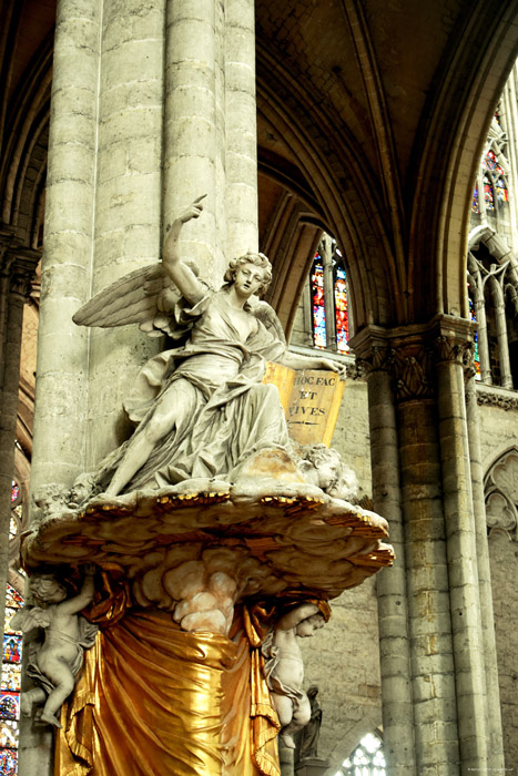 Cathédrale Notre Dame AMIENS / FRANCE 