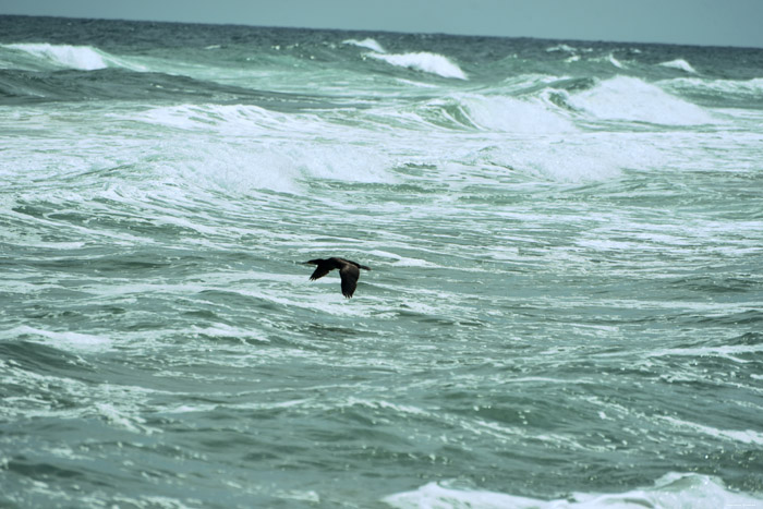 Irakly Beach Letovishte Irakli / Bulgaria 