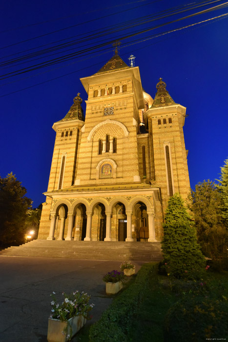 Cathedraal van de Stad Timisoara / Roemeni 