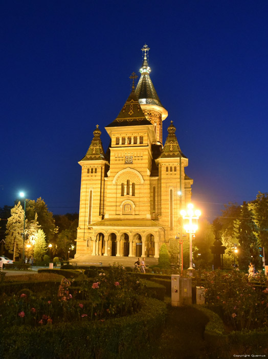 Cathedraal van de Stad Timisoara / Roemeni 