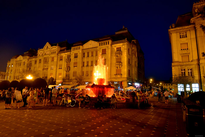 Pesti Fountain (Fantana cu pesti) Timisoara / Romania 