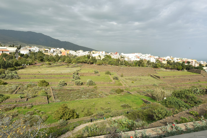 Pyramides Guimar in Gimar / Tenerife (Spanje) 