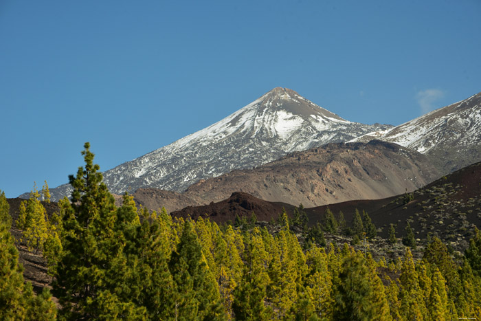 Volcan Teide Las Canadas del Teide / Tenerife (Espagna) 