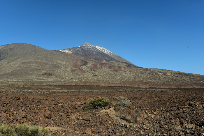 Teide Vulkaan Las Canadas del Teide / Tenerife (Spanje) 