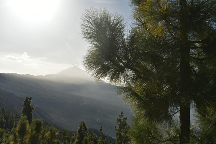 El Teide Volcano Las Canadas del Teide / Tenerife (Spain) 