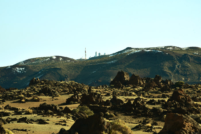 Dor Landschap Las Canadas del Teide / Tenerife (Spanje) 