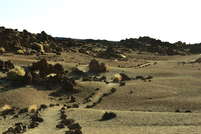 Paysage Sec Las Canadas del Teide / Tenerife (Espagna) 