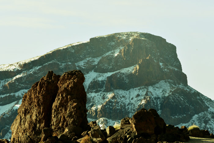 Dor Landschap Las Canadas del Teide / Tenerife (Spanje) 