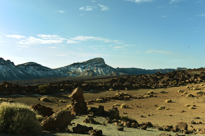 Dor Landschap Las Canadas del Teide / Tenerife (Spanje) 