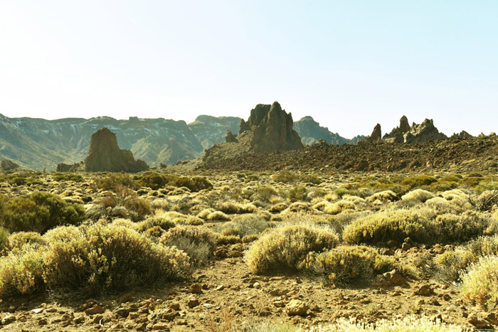 Rotsig landschap Las Canadas del Teide / Tenerife (Spanje) 