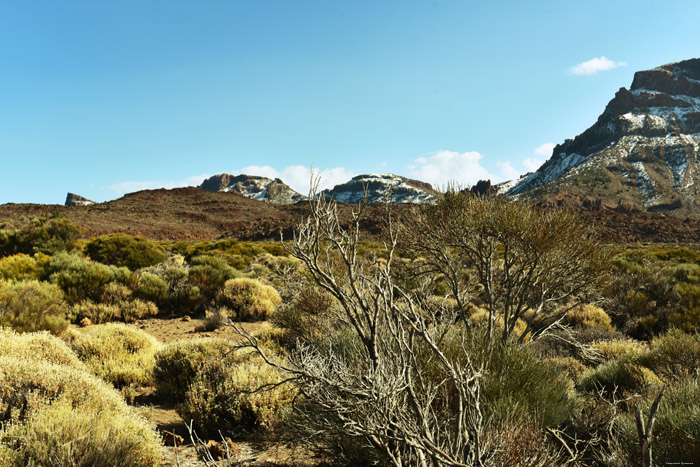 Paysage rocheux Las Canadas del Teide / Tenerife (Espagna) 