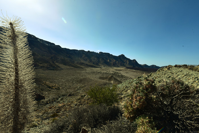 Plaine avec des sorties de lave Las Canadas del Teide / Tenerife (Espagna) 