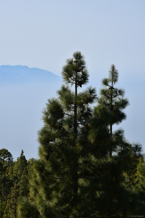 Uitzicht op la Gomera Las Canadas del Teide / Tenerife (Spanje) 