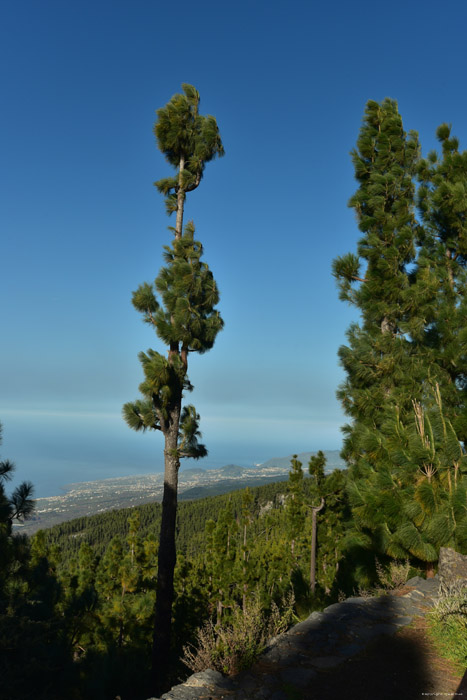 Uitzicht Las Canadas del Teide / Tenerife (Spanje) 