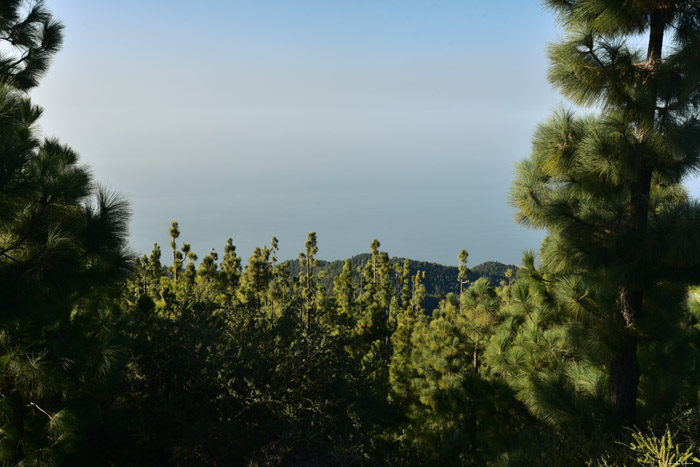 Vue Las Canadas del Teide / Tenerife (Espagna) 