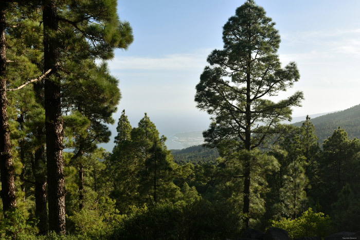 Mirador de Montagna Grande Las Canadas del Teide / Tenerife (Espagna) 