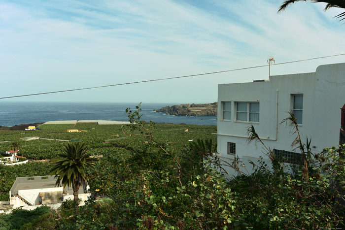 Uitzicht over bananenplantage El Guincho / Tenerife (Spanje) 