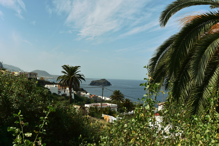 Uitzicht over bananenplantage El Guincho / Tenerife (Spanje) 