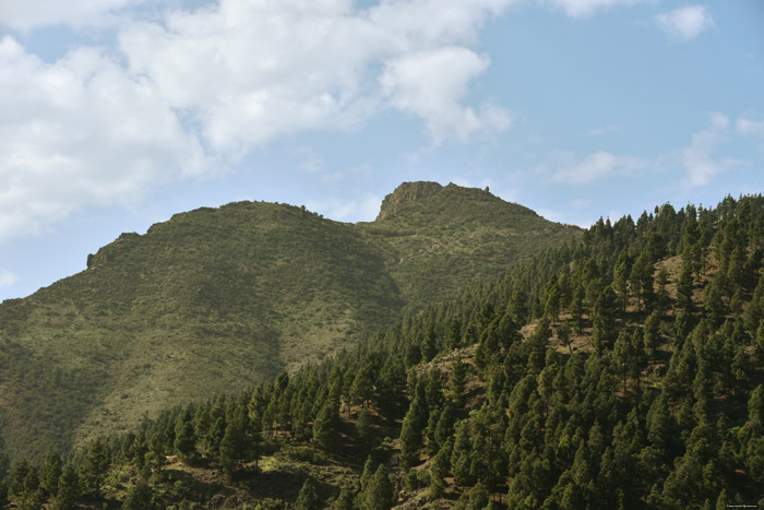 Uitzicht Mirador de Valle Arriba Valle de Arriba / Tenerife (Spanje) 