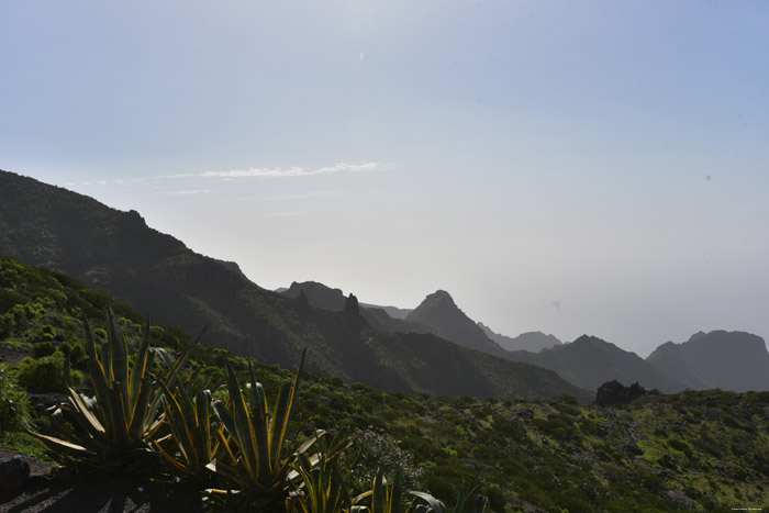 Vue Valle de Arriba / Tenerife (Espagna) 