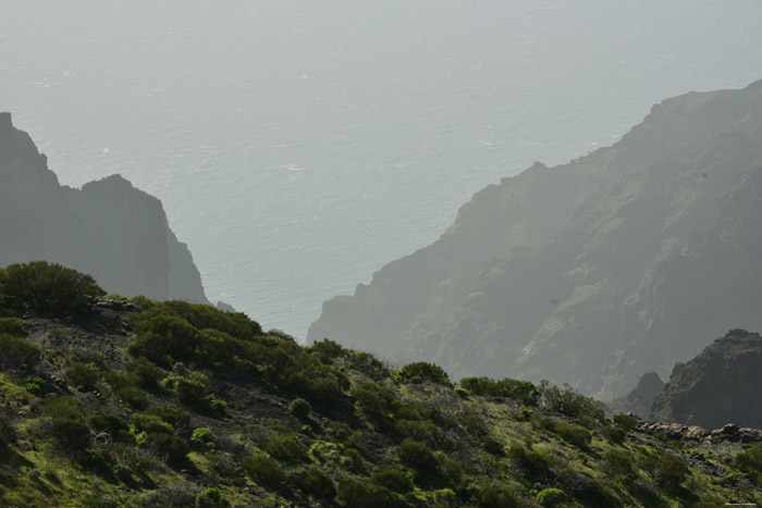 Uitzicht Valle de Arriba / Tenerife (Spanje) 