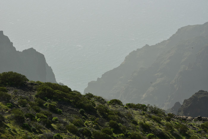 View  Valle de Arriba / Tenerife (Spain) 