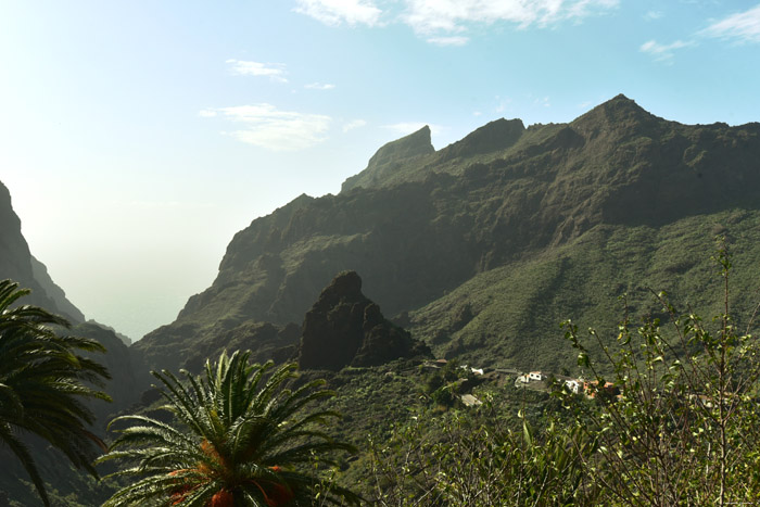 Zicht op Masca en bergen Masca / Tenerife (Spanje) 