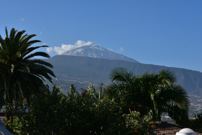 View from Mirador de Jarina Camino De Jardina / Tenerife (Spain) 