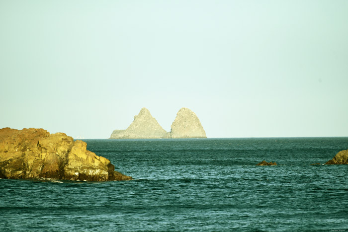 Rots van Los Galiones Almaciga / Tenerife (Spanje) 