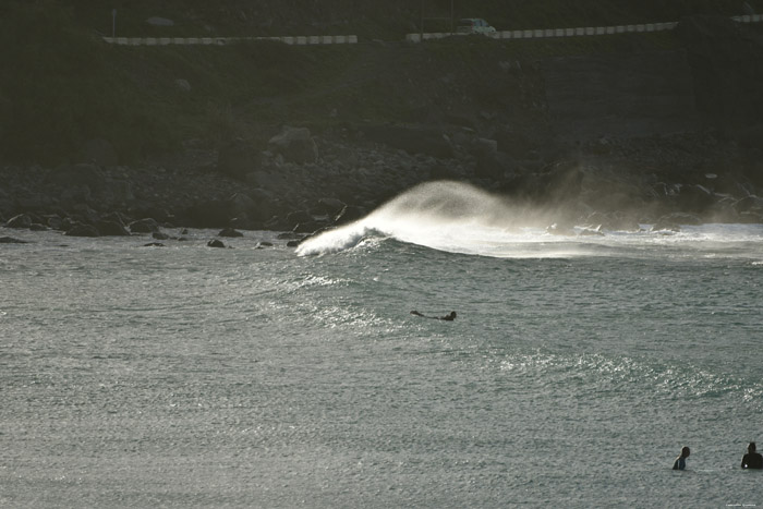 Surfers aan Strand van Almagica Almaciga / Tenerife (Spanje) 