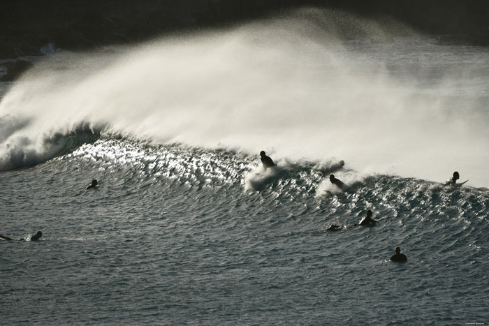 Surfers aan Strand van Almagica Almaciga / Tenerife (Spanje) 