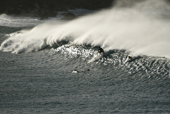 Surfers aan Strand van Almagica Almaciga / Tenerife (Spanje) 